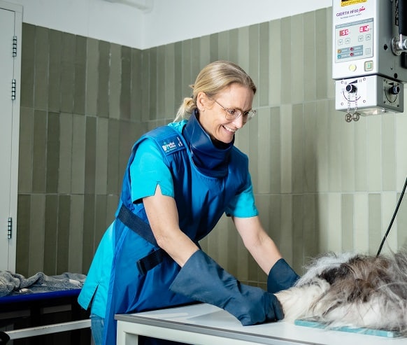 Röntgenfoto huisdier dierenkliniek Oost-Betuwe